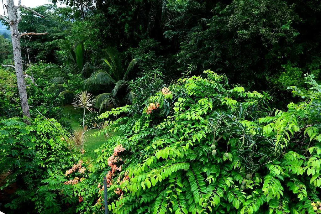 Nivahana Homestay 캔디 스리랑카