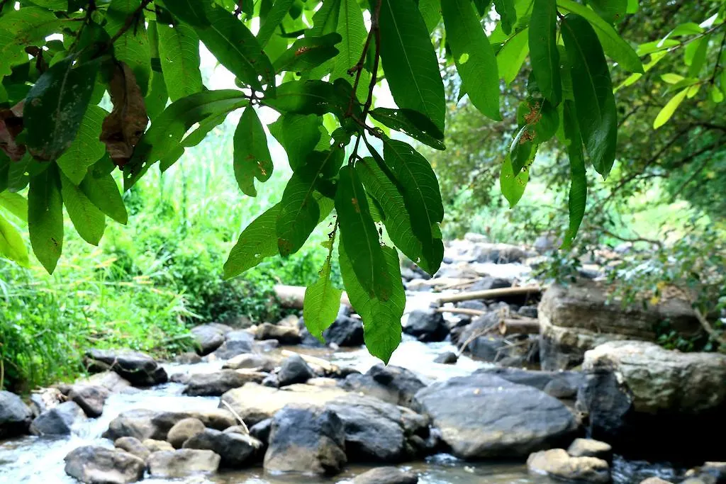 Nivahana Homestay Kandy Sri Lanka